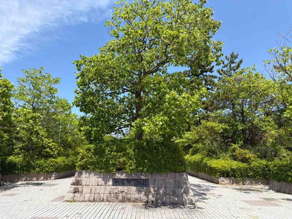 寺尾中央公園