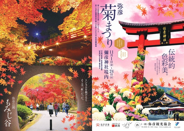 2019kiku_page-0001