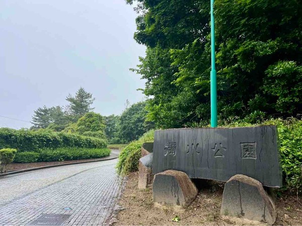 濁川公園 バラ