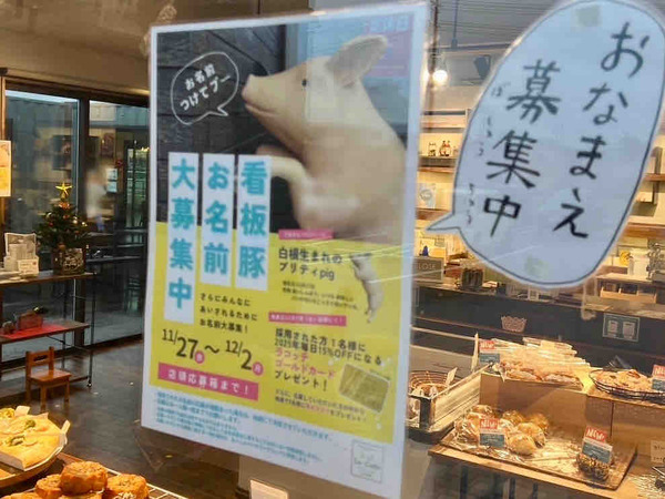 La・Cotte (ラコッテ) 豚 名前 募集