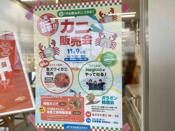 地魚工房 カニ販売会