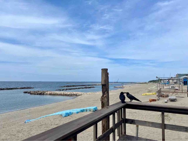 関屋浜 海の花火大会