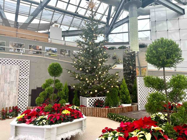 新潟県立植物園 クリスマス展