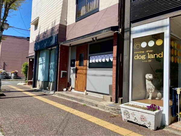 豆皿と煮込み 大阪屋