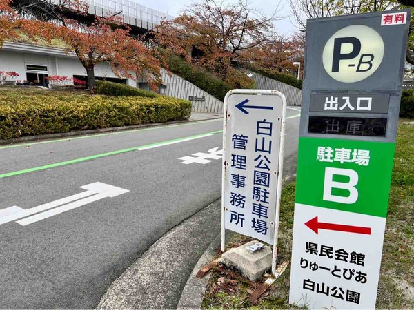 白山公園駐車場 落ち葉プレゼント