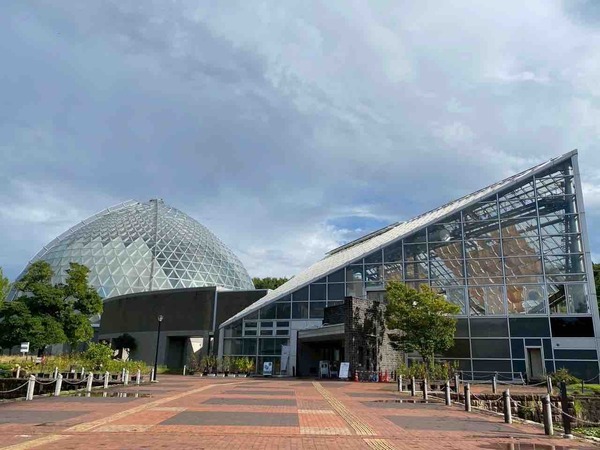 新潟県立植物園 名月夜間開園