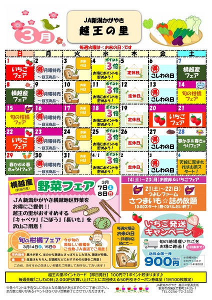 さつまいも詰め放題