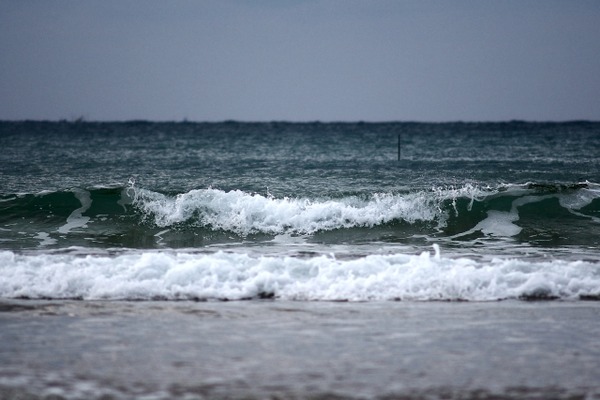 2026 新春寒中水泳