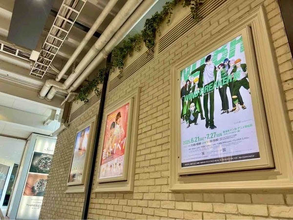 WIND BREAKER展