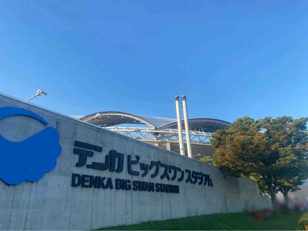 アルビレックス新潟