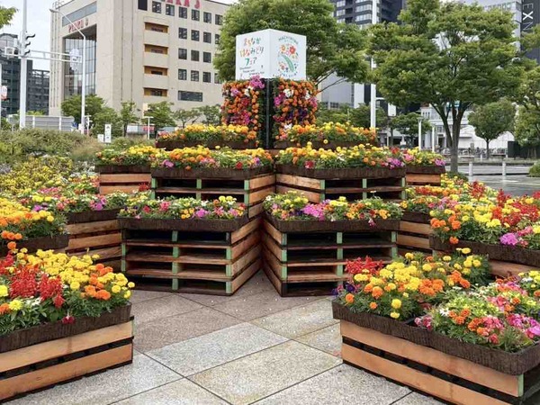 新潟市 イベント6月