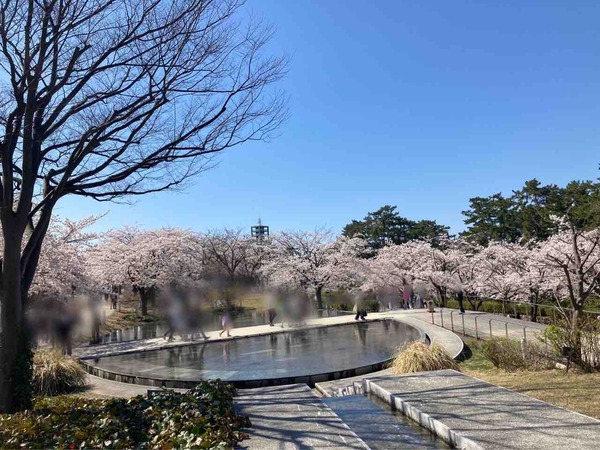 天空のお花見会 in 能楽堂 2025