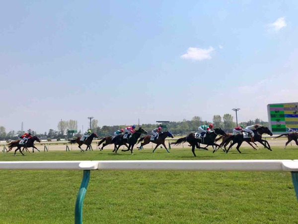 第4回 新潟競馬