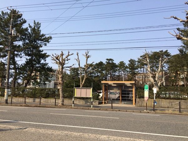 新大