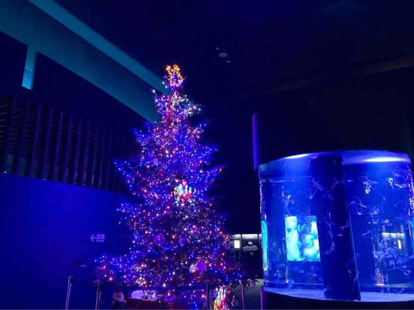 マリンピア日本海