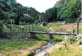 大沢