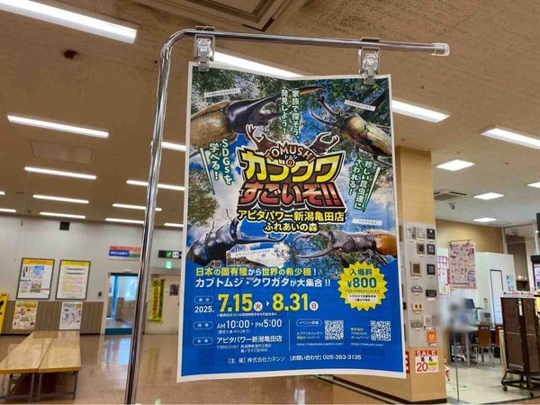 アピタパワー新潟亀田 7月 イベント