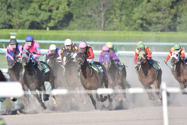 第1回 新潟競馬(2025年)