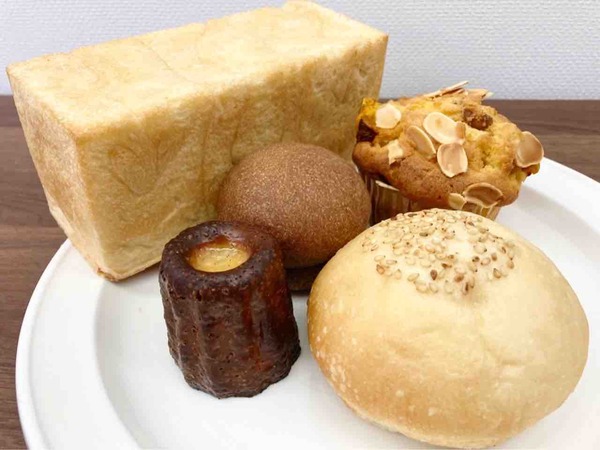 ニイガタコネルクラブパンフェス