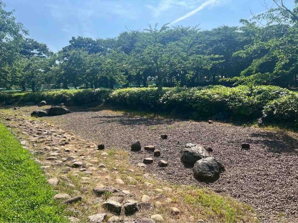 新潟県スポーツ公園 小川(流れ