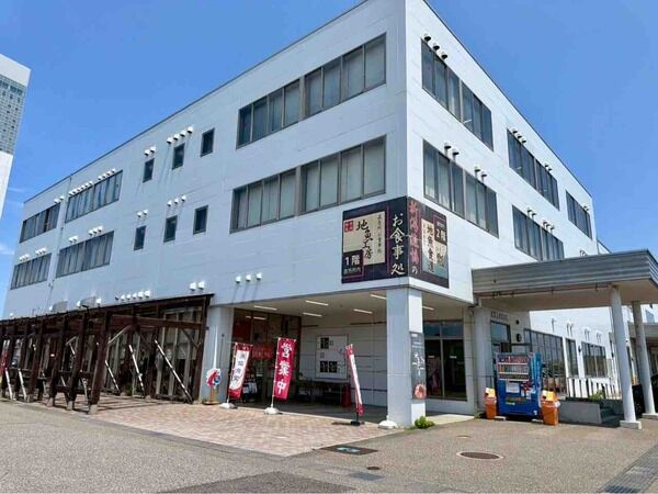 山北産岩ガキを食べよう!