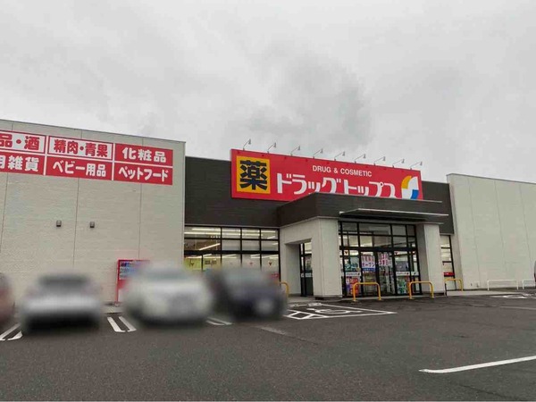 ドラッグトップス 寺尾東店