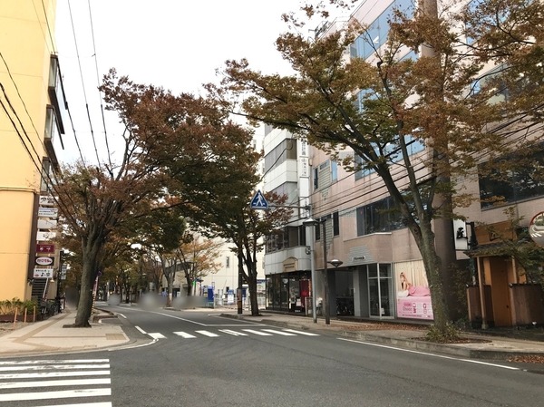 ぼかし丸_20191203_153743