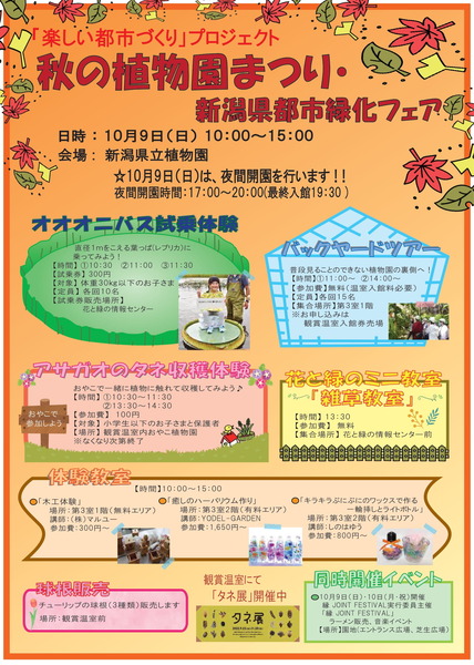 看板 まつり内容-1