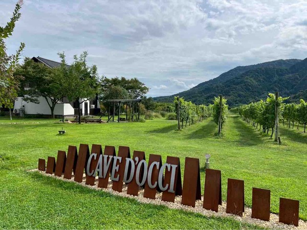 ワインフェスタ 2025～新潟ワインコースト巡り～（Wine Festa）