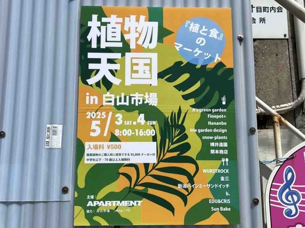 植物天国 in 白山市場