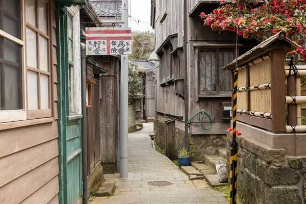 魔法使いロゼの佐渡ライフ