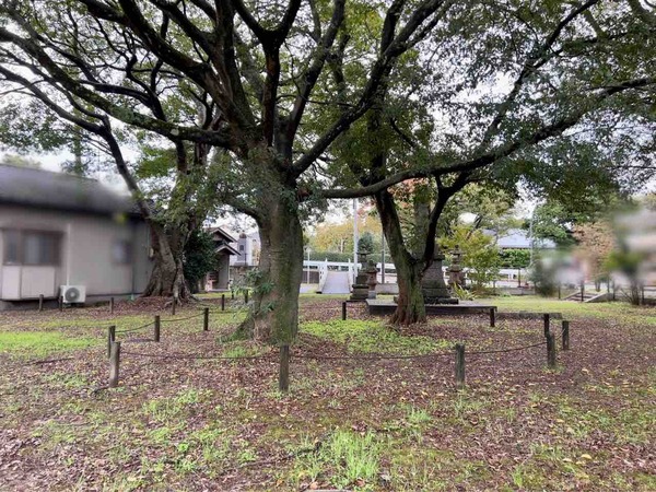 うちの蚤の市2025秋