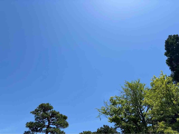 5月人気記事