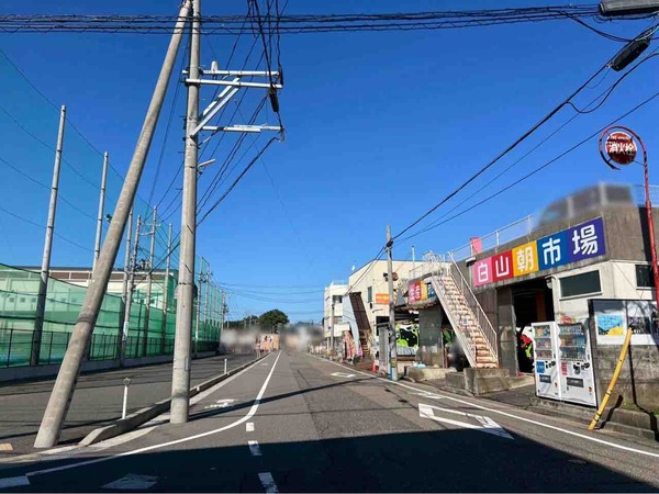 植物天国 in 白山市場