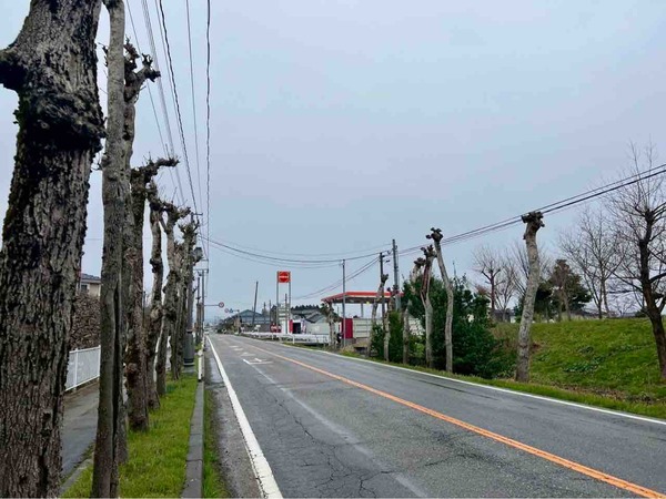 にしかんマルシェ