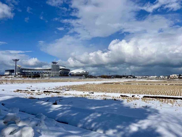 鳥屋野潟南部交流拡大エリア