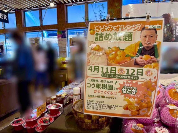 きよみオレンジ詰め放題