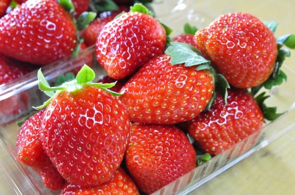 そら野テラスの9周年祭