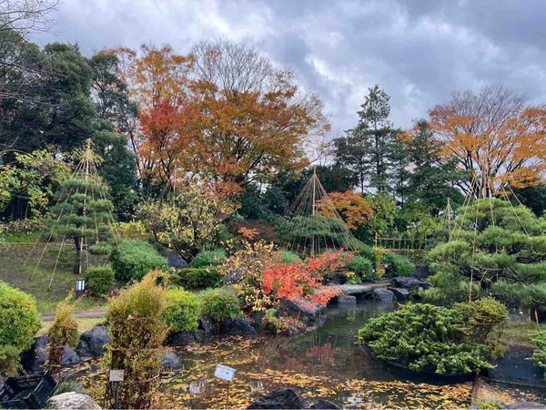 11月 新潟市 イベント