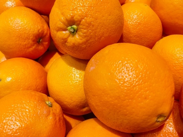 キラキラマーケット 年末セール 初売り