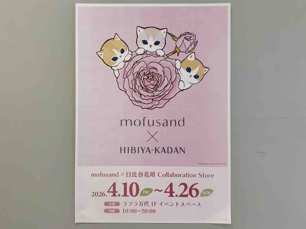 mofusand × 日比谷花壇 Collaboration Store