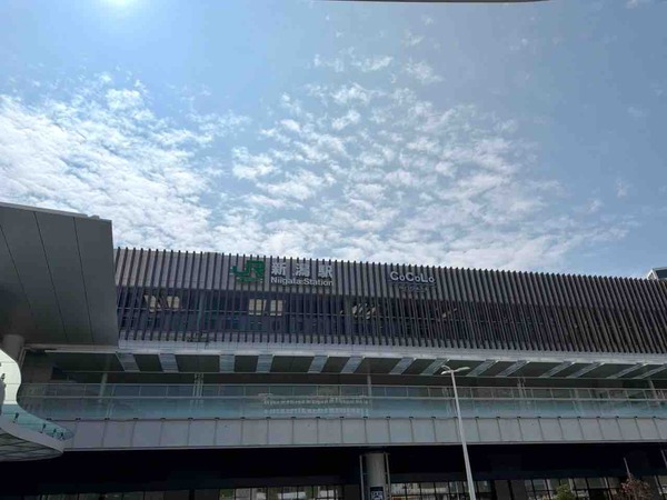 WACOAL The Store CoCoLo新潟店