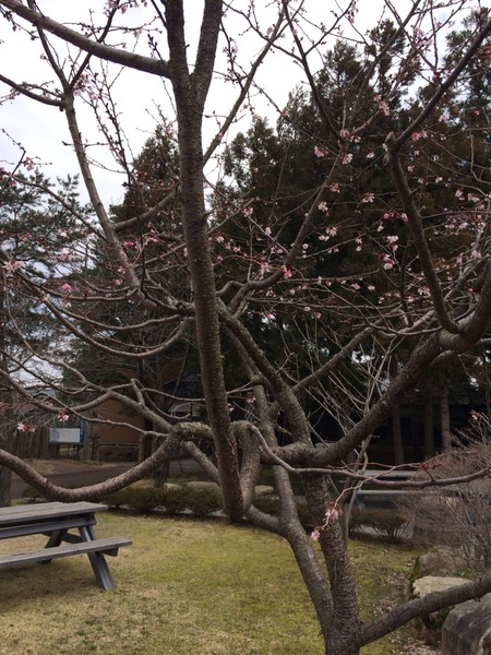 2014-03-23-12-37-18