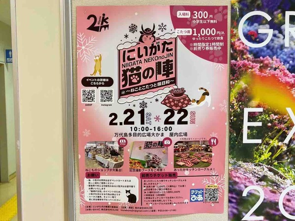 にいがた猫の陣~ねことこたつと鍋日和~