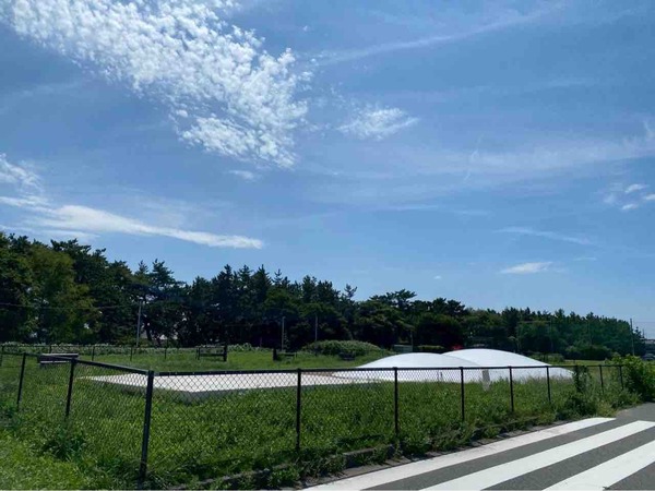 にいがた氷菓（アイス）の陣