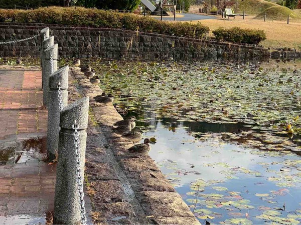 イベントまとめ