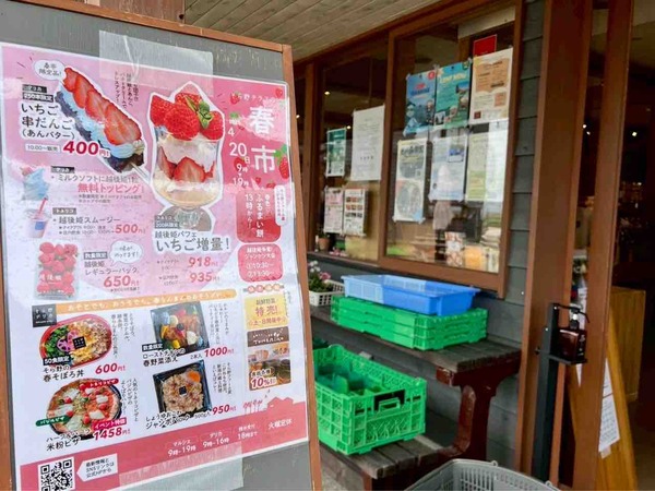 そら野テラスの春市
