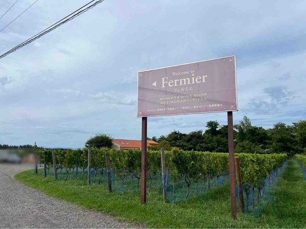 ワインフェスタ 2025～新潟ワインコースト巡り～（Wine Festa）