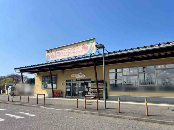 祝！12周年！とびっきり企画満載！！『いくとぴあ食花』内『キラキラマーケット』で『12周年祭』開催！6月20日～28日。
