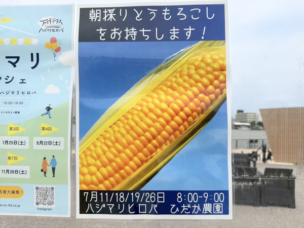 ひだか農園 朝採りとうもろこし直売会
